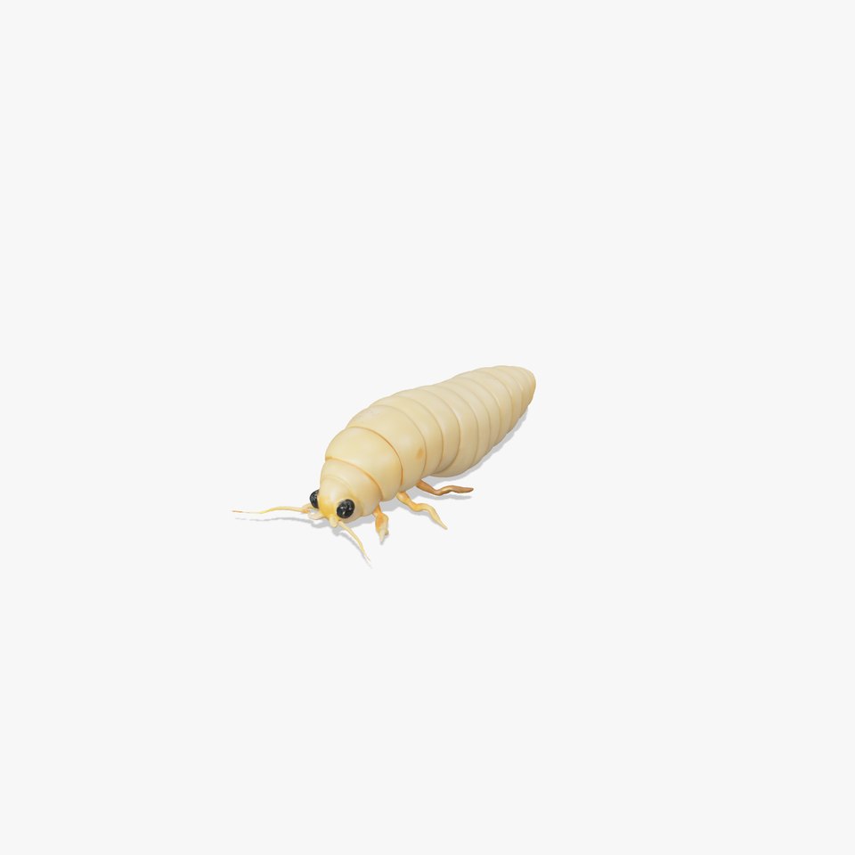 Realistic Insect Larvae Model Pack