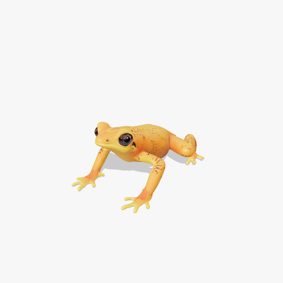 Vibrant Orange Frog Model Pack