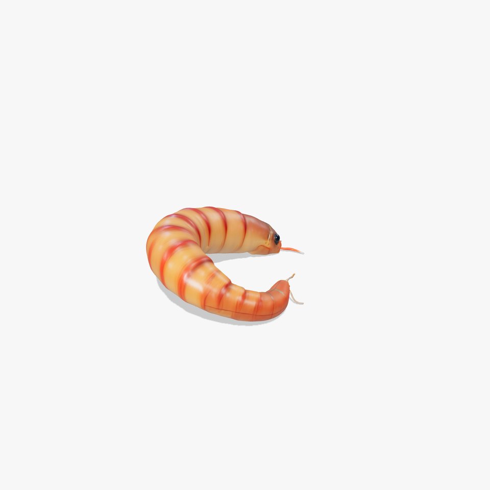 Realistic Mealworm Model Pack for Production and Game Environments