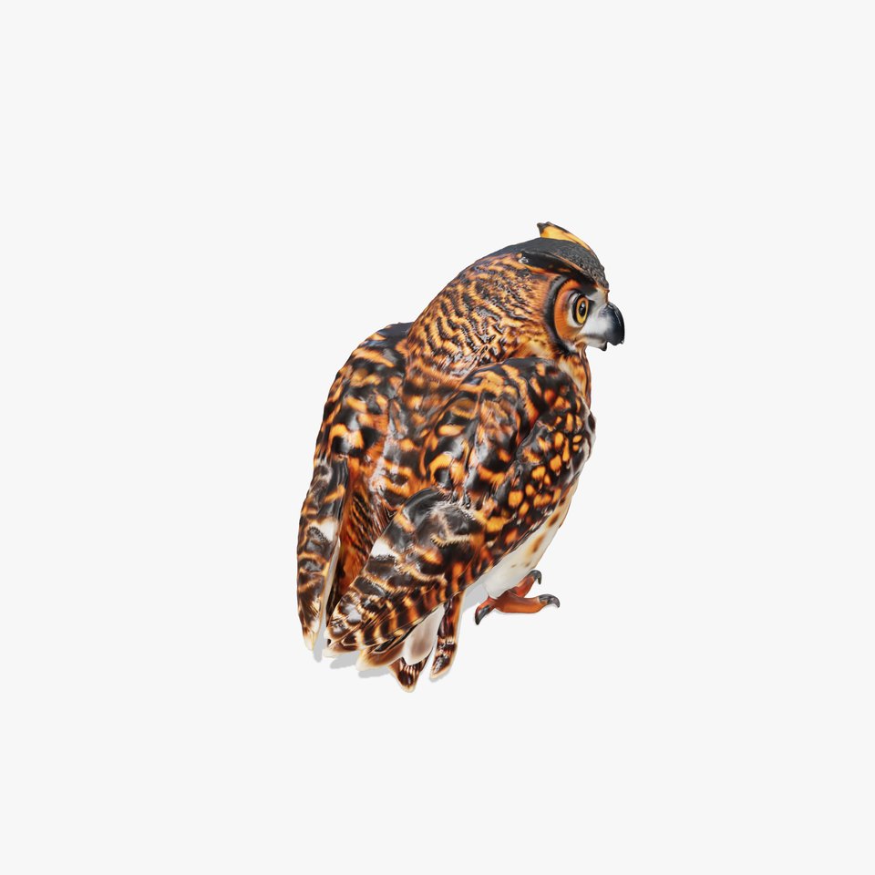 Detailed Owl Model Pack for Rendering and Games