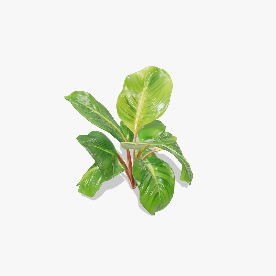 Tropical Plant Model Pack for Environment Design