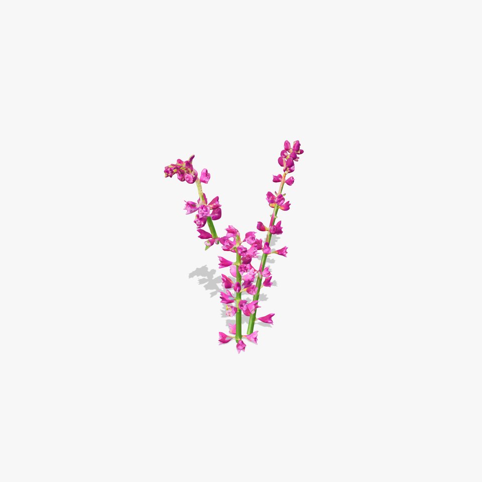 Vibrant Pink Flower Model Pack