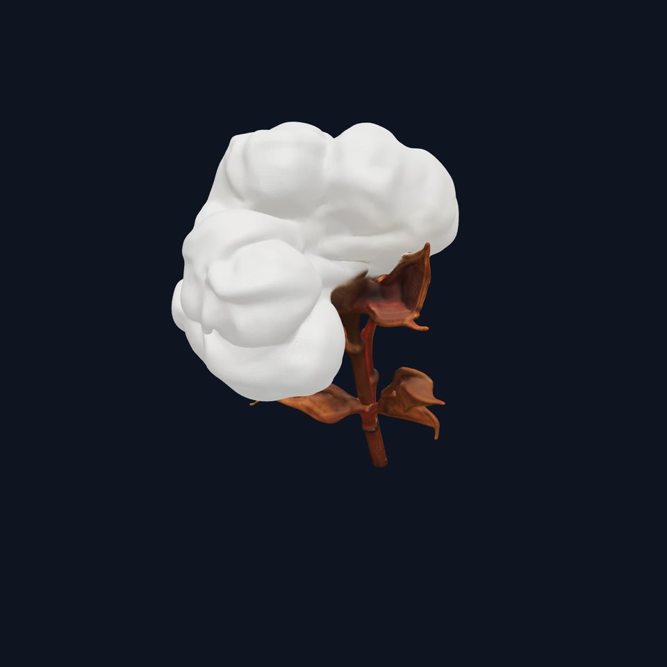 Cotton Plant Model Pack with High Detail Textures
