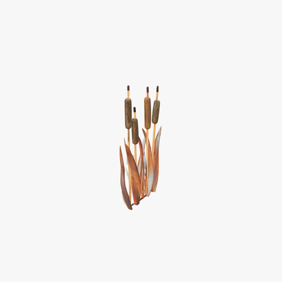 Cattail Reeds Decorative Model Pack