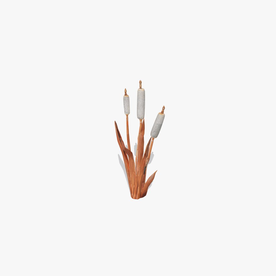 Cattail Plant Model Pack for Environment Design