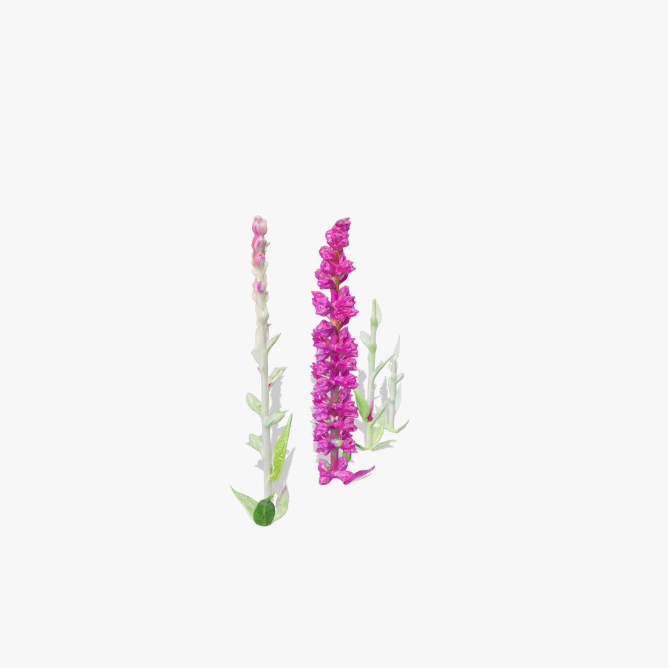 Vibrant Pink Flower Model Pack for D Environments and Games
