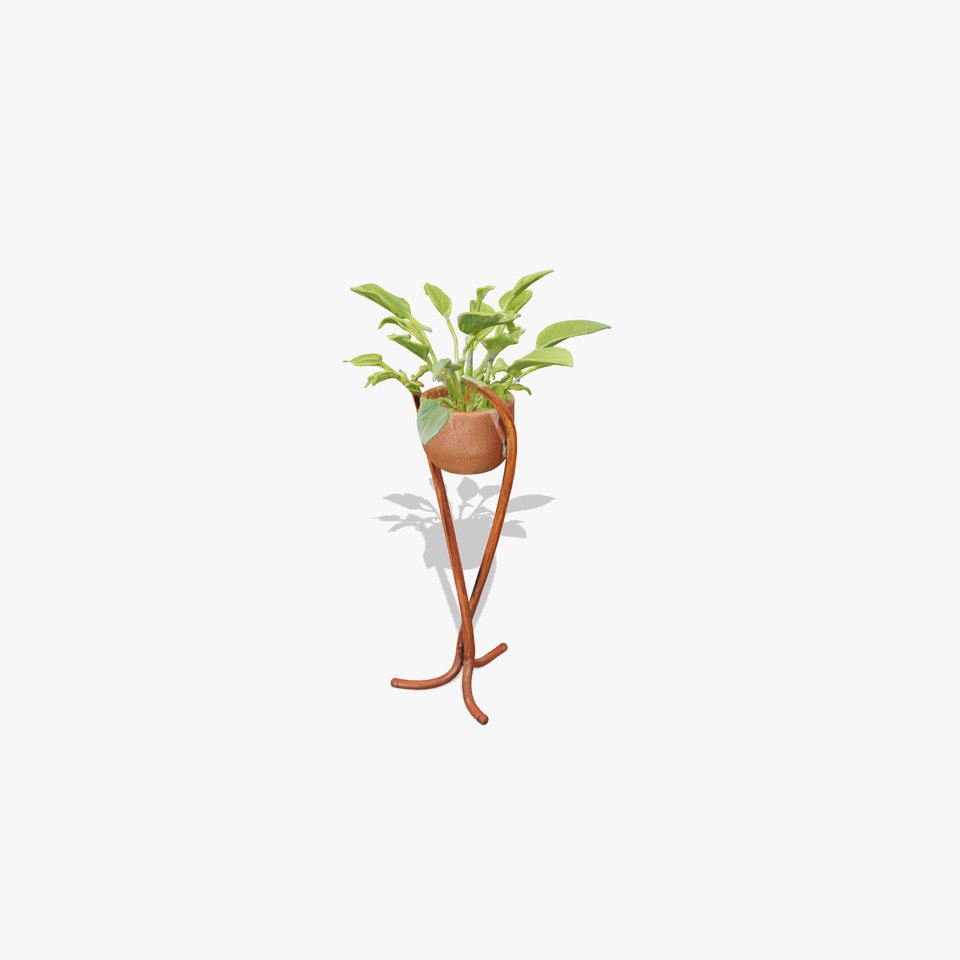 Modern Plant Stand with Green Foliage Model Pack