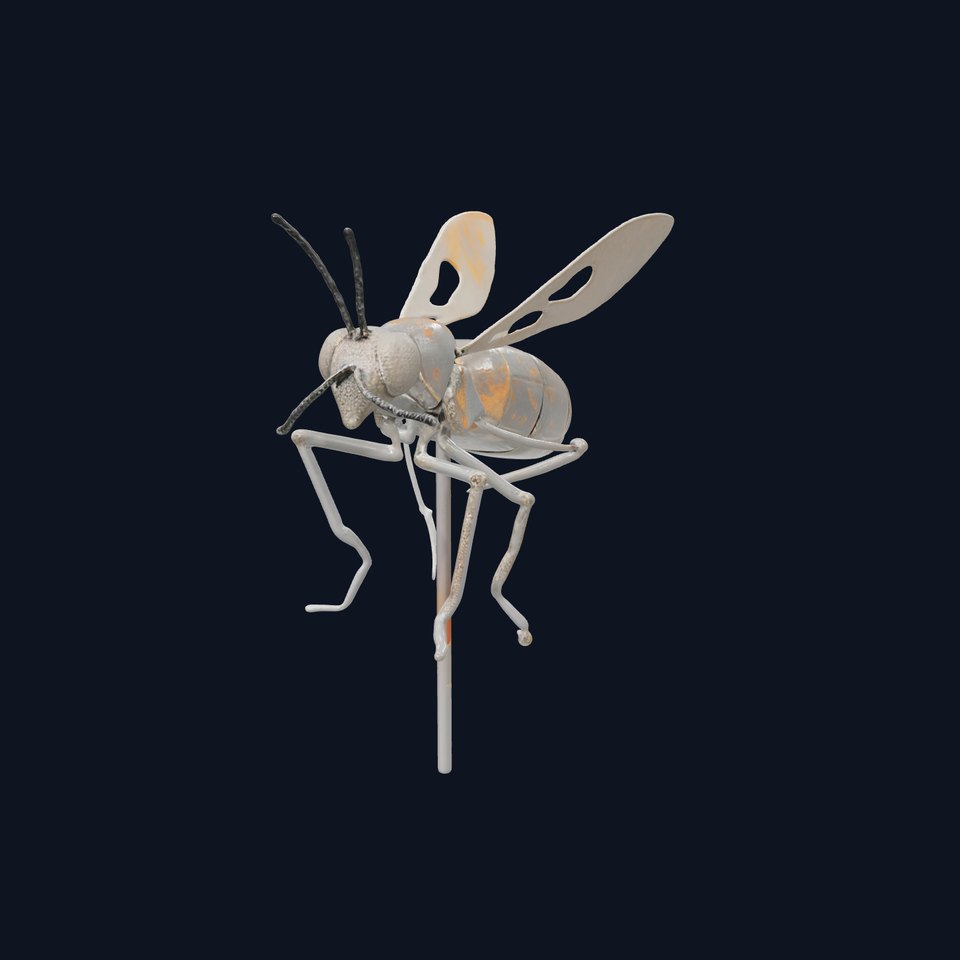 Realistic Insect Model Pack for D Animation and Rendering