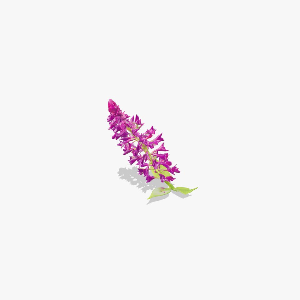 Vibrant Flower Model Pack  Realistic Floral Elements for D Scenes