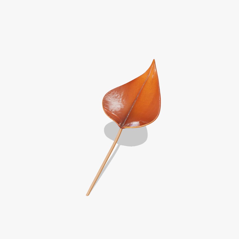 Bronze Leaf Ornament Model Pack