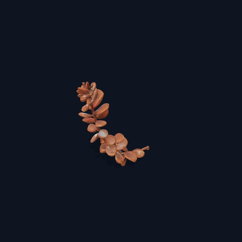 Realistic Branch with Leaves Model Pack