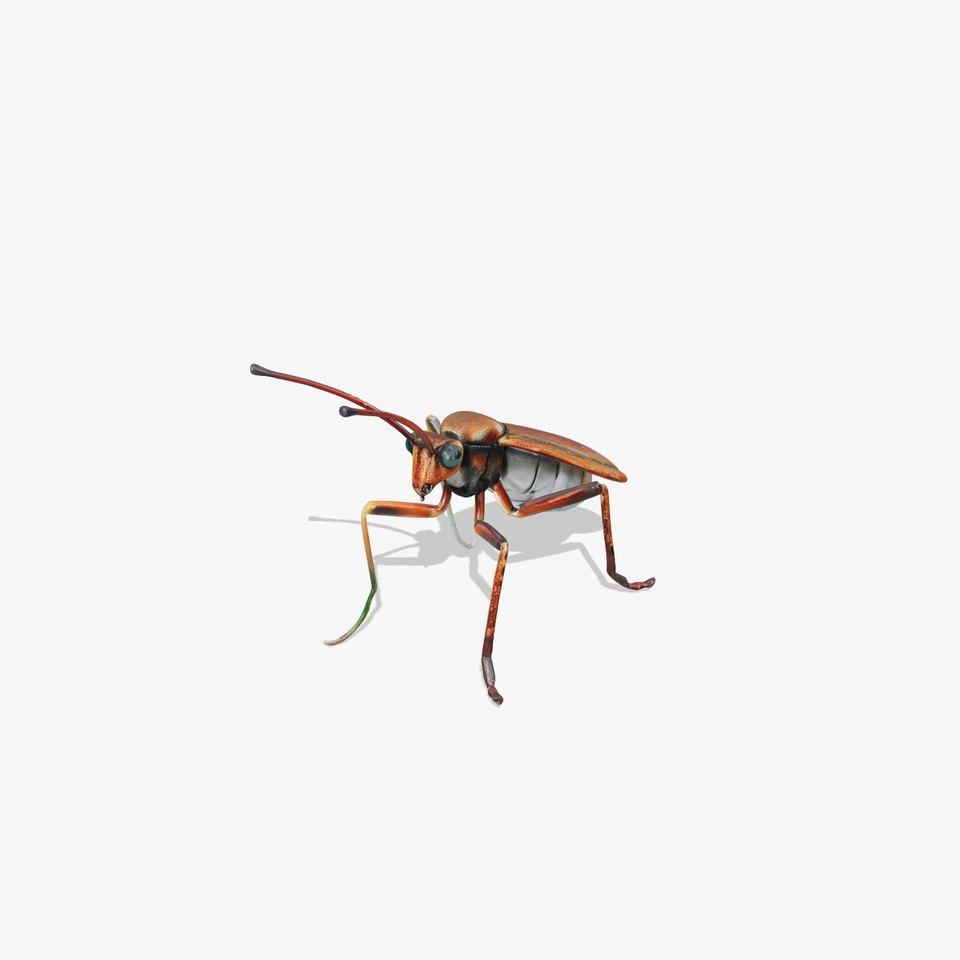 Realistic Insect Model Pack for Virtual Environments