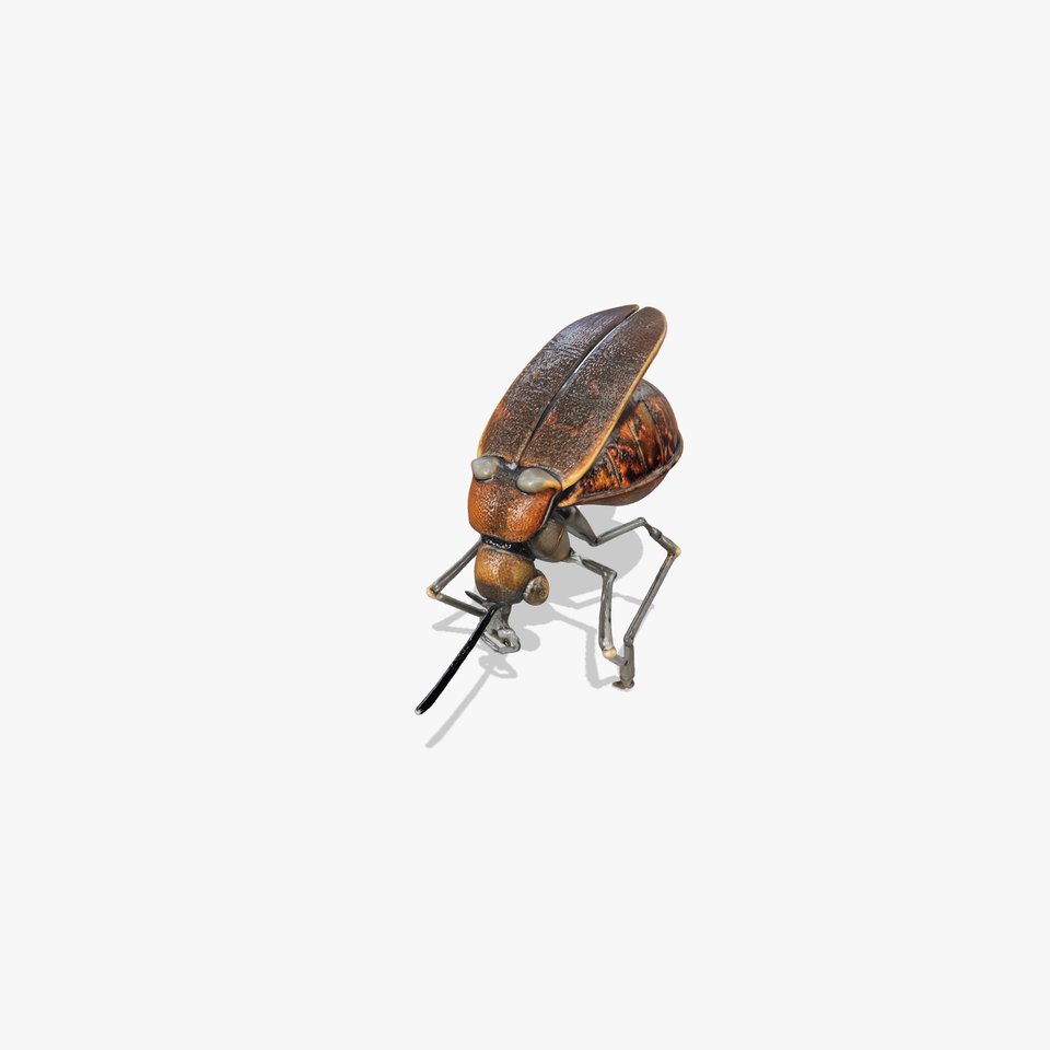 Beetle Sculpture Model Pack with Detailed Textures