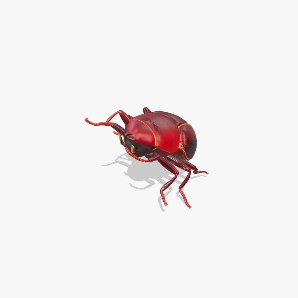 Realistic Beetle Model Pack for Rendering and Games