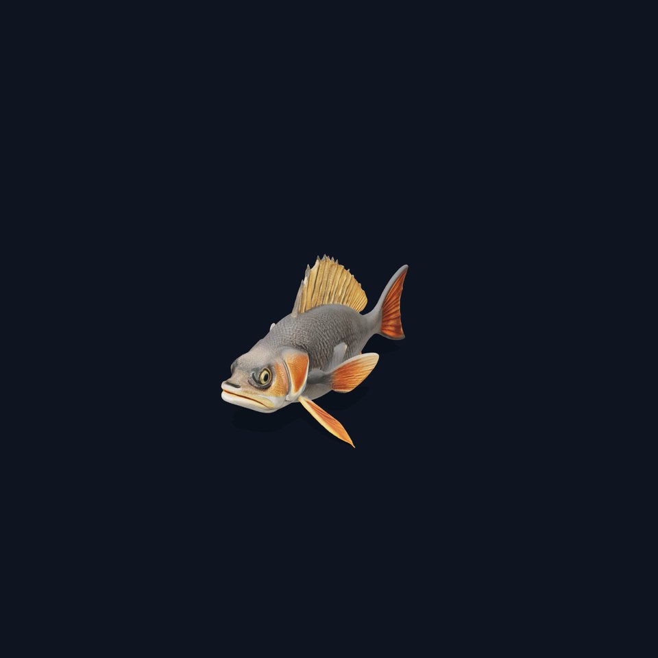 Realistic Fish Model Pack with Detailed Textures