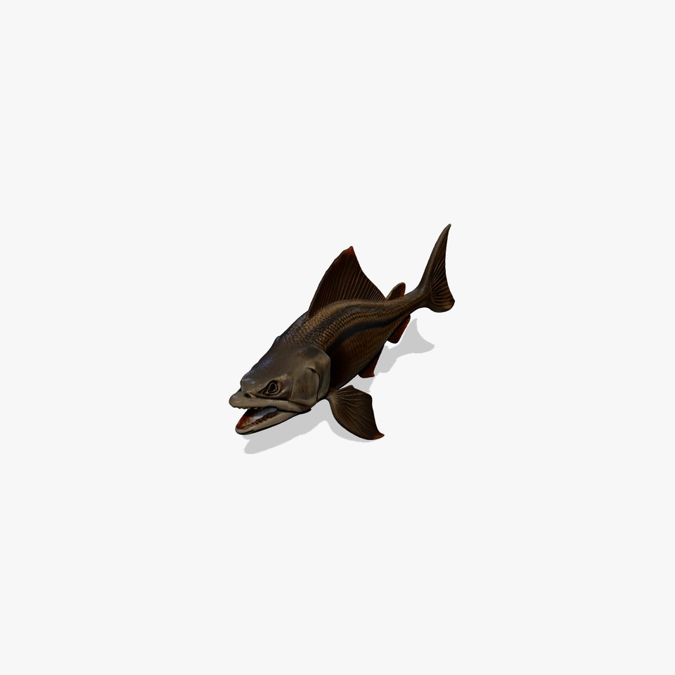 Prehistoric Fish D Model Pack with PBR Textures