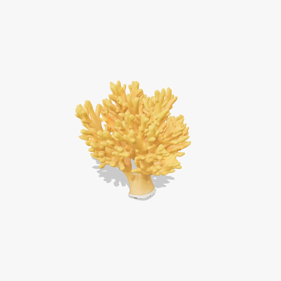 Yellow Coral Model Pack for Detailed D Environments
