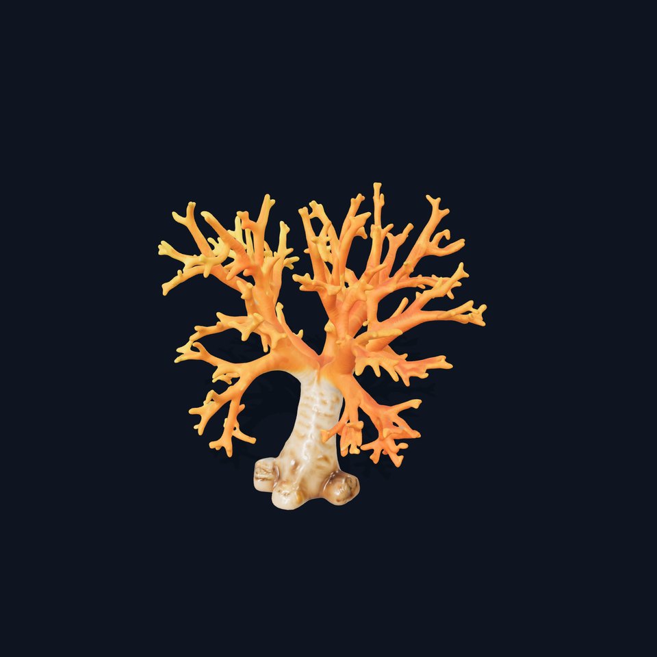 Colorful Coral Reef D Model Pack