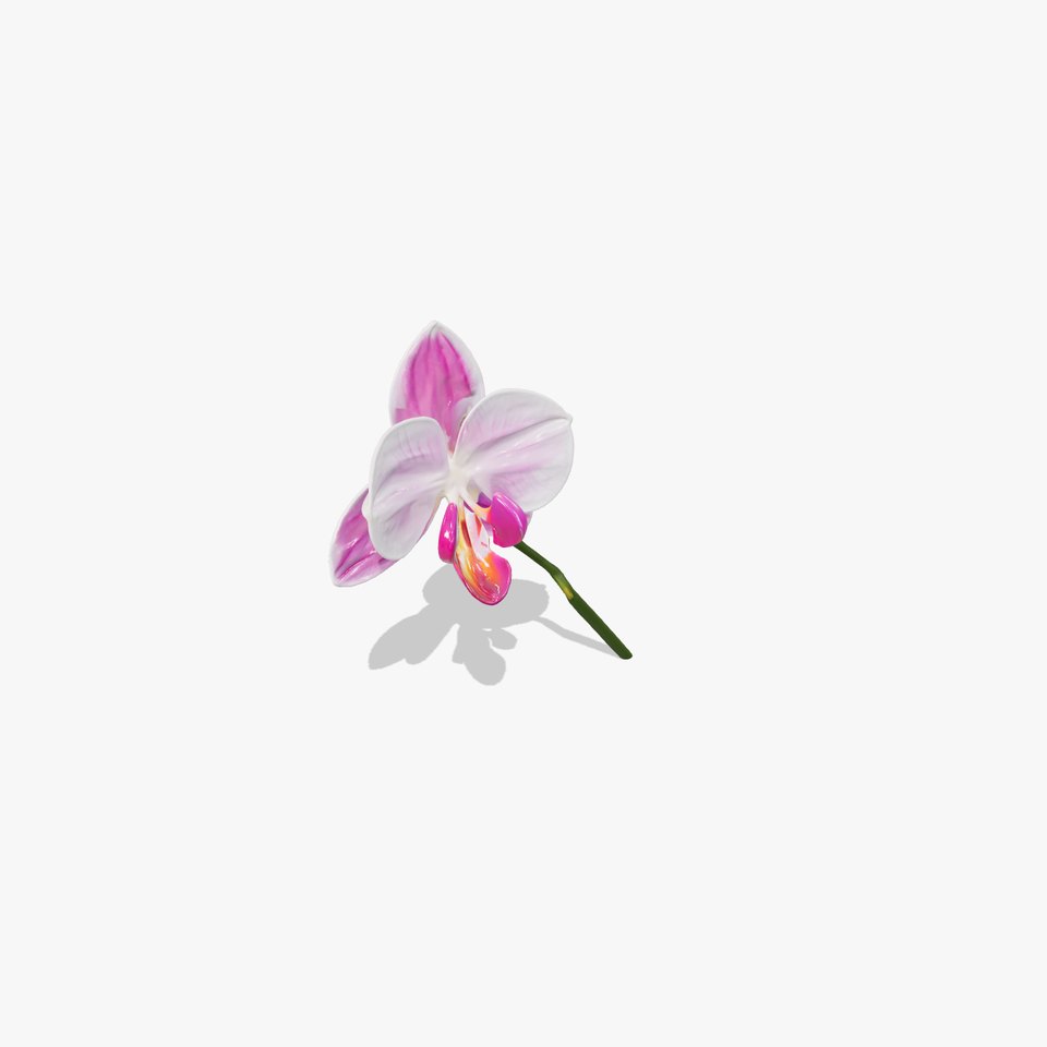 Orchid Flower D Model Pack