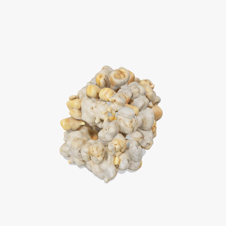 Realistic Coral Stone Model Pack for D Environments