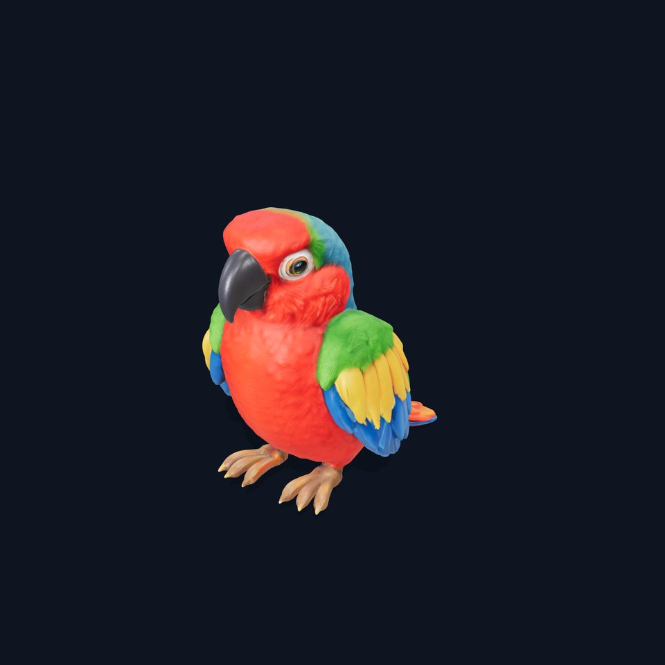 Colorful Parrot D Model Pack for Animation and Games