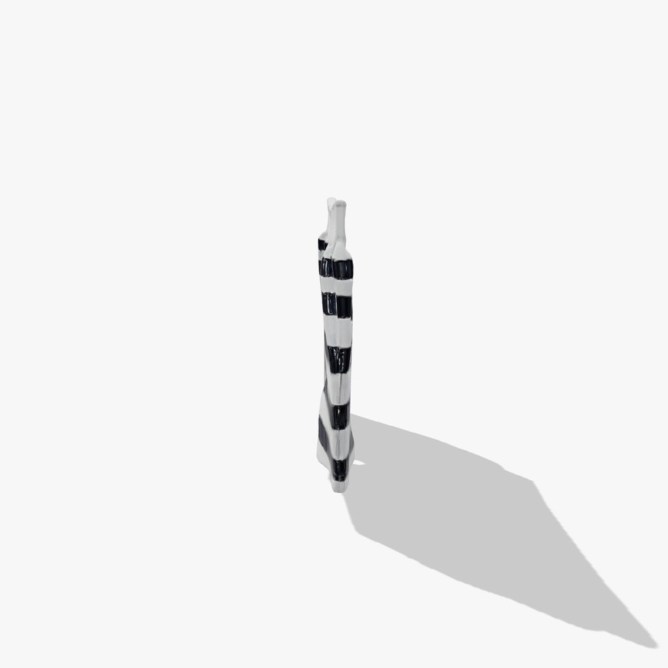 Striped Swim Shorts D Model Pack