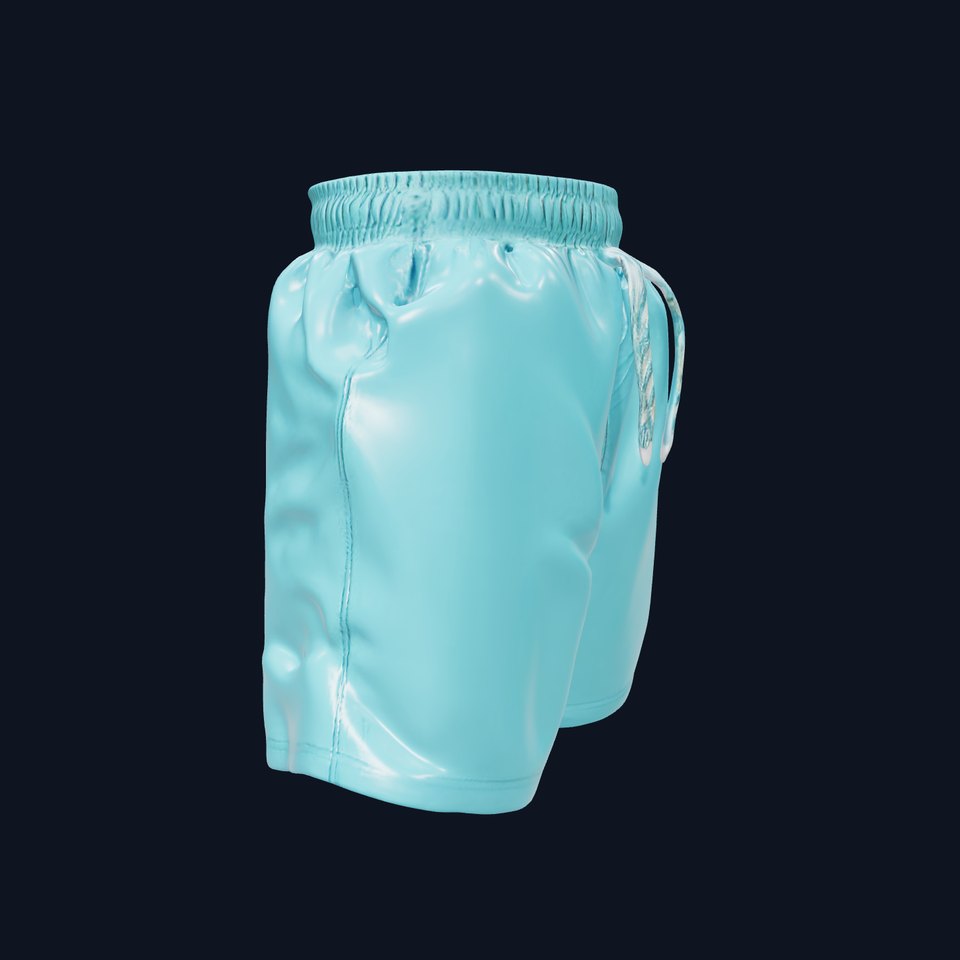 Casual Swim Shorts D Model Pack