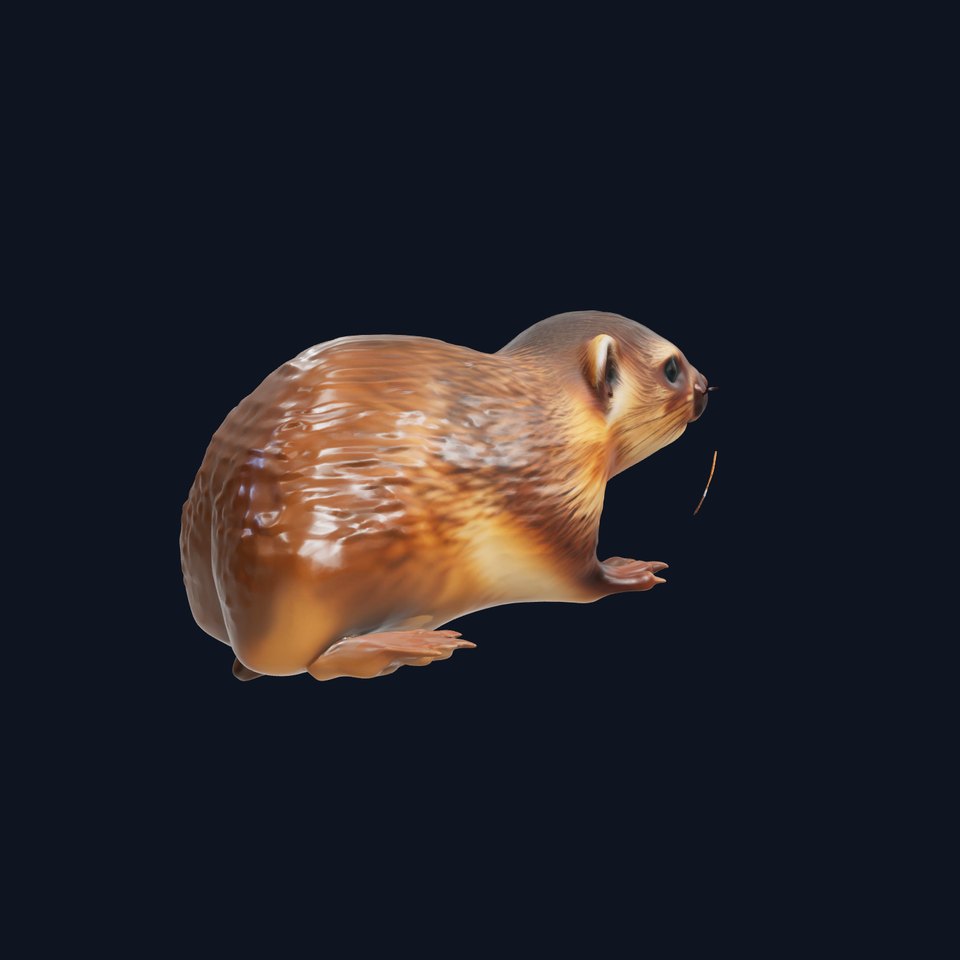 Realistic Small Animal Model Pack  Ideal for Rendering and Games