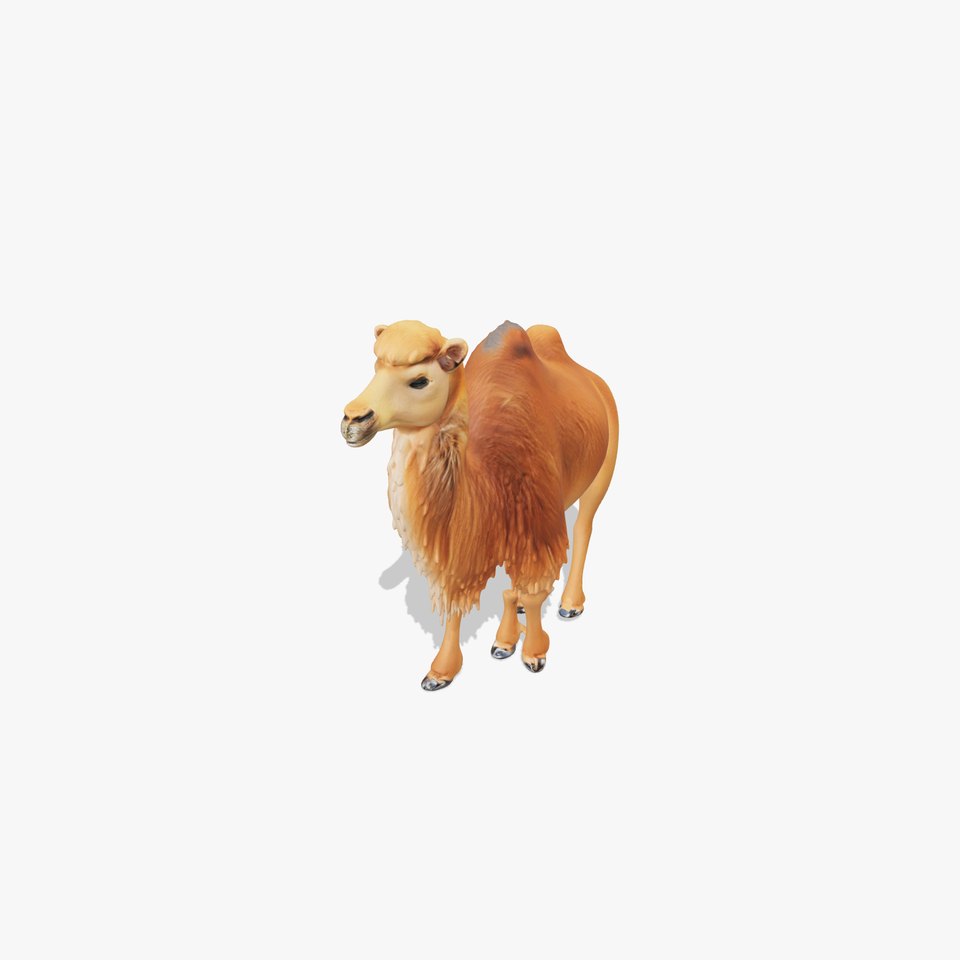 Bactrian Camel Model Pack with Detailed Fur