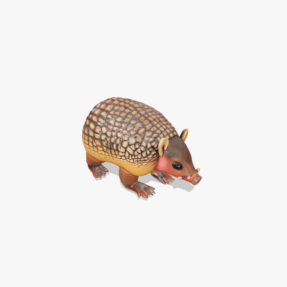 Armadillo Model Pack for D Rendering and Game Development