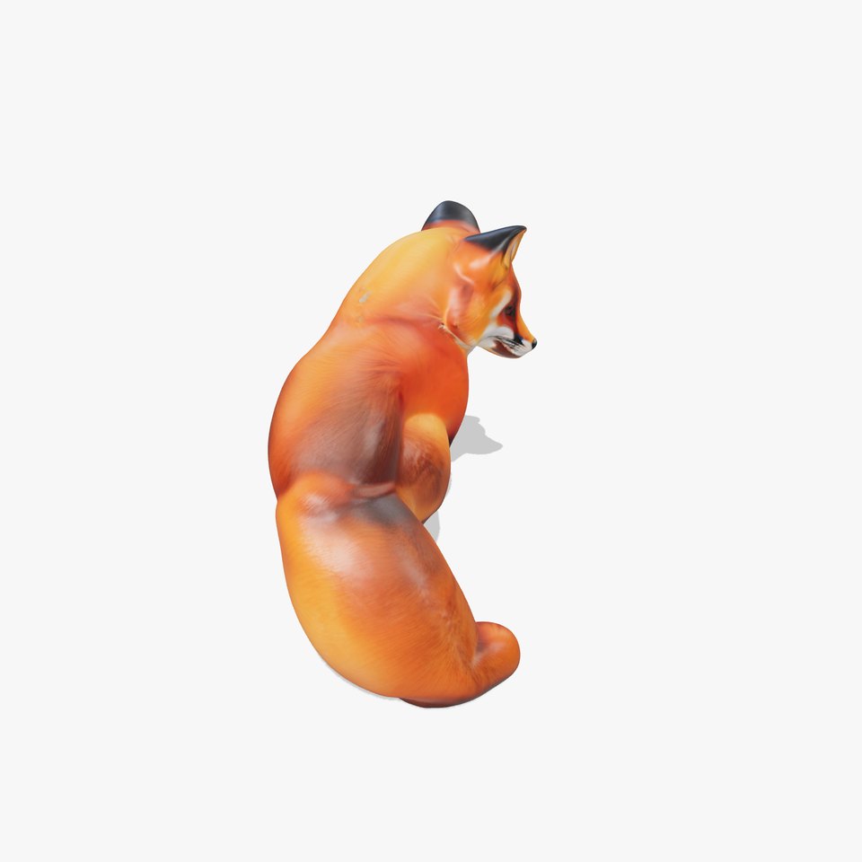 Fox Model Pack  High Detail D Animal Model Collection