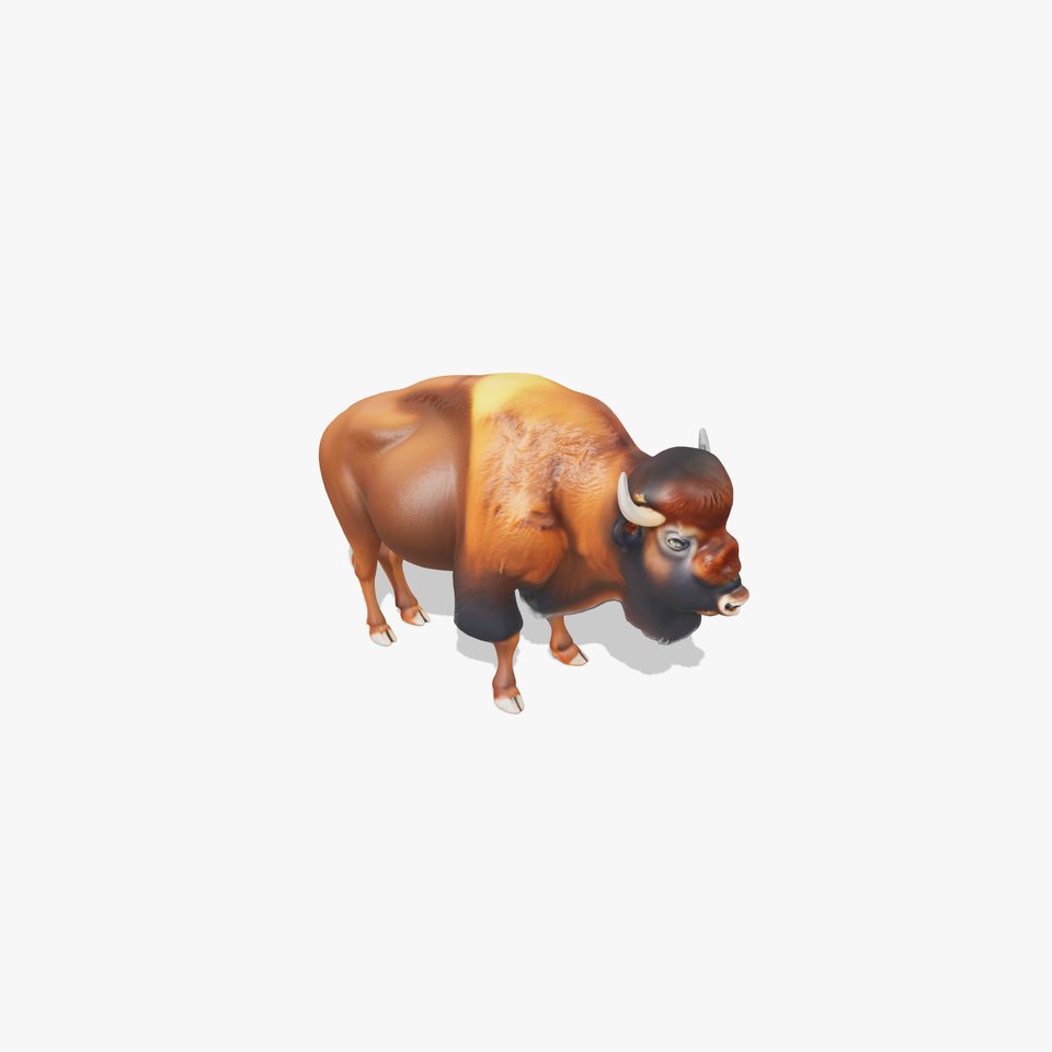 Bison D Model Pack  Detailed Animal Render