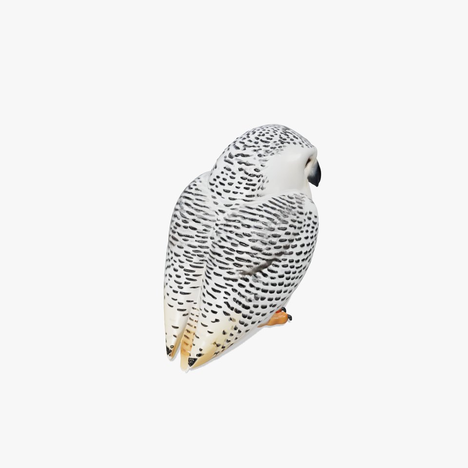 Snowy Owl Model Pack with Detailed Textures and LOD