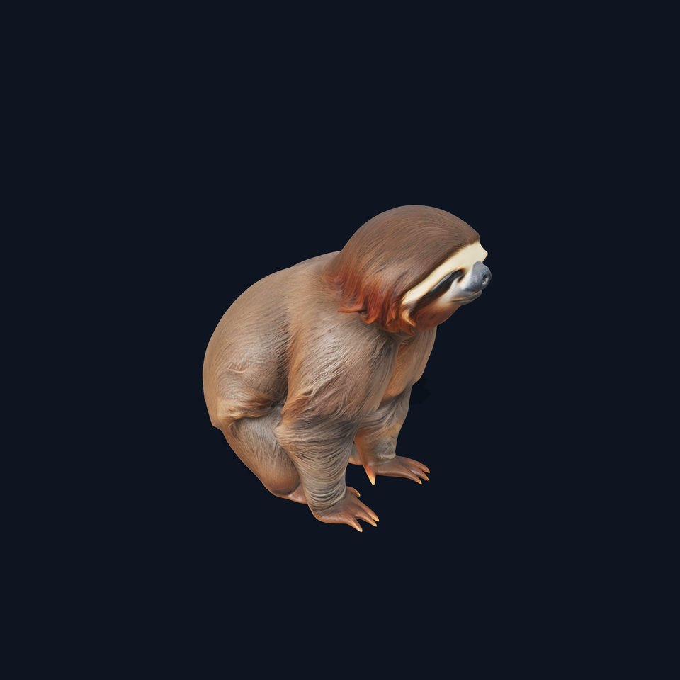 Sloth D model pack  Realistic and Detailed