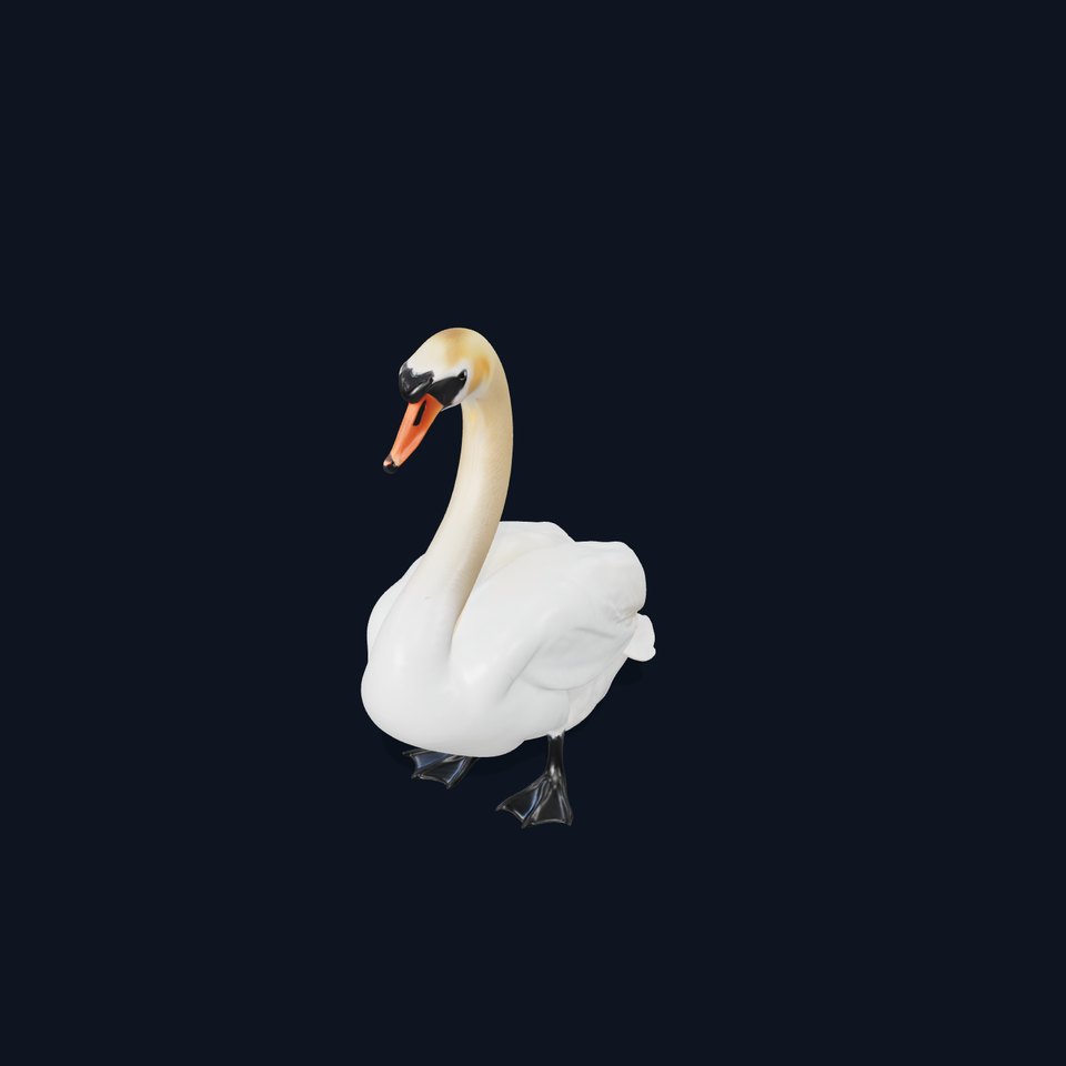 Elegant Swan D Model Pack for Detailed Rendering