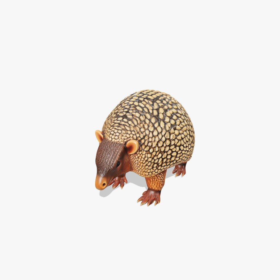 Armadillo D Model Pack with Textured Shell