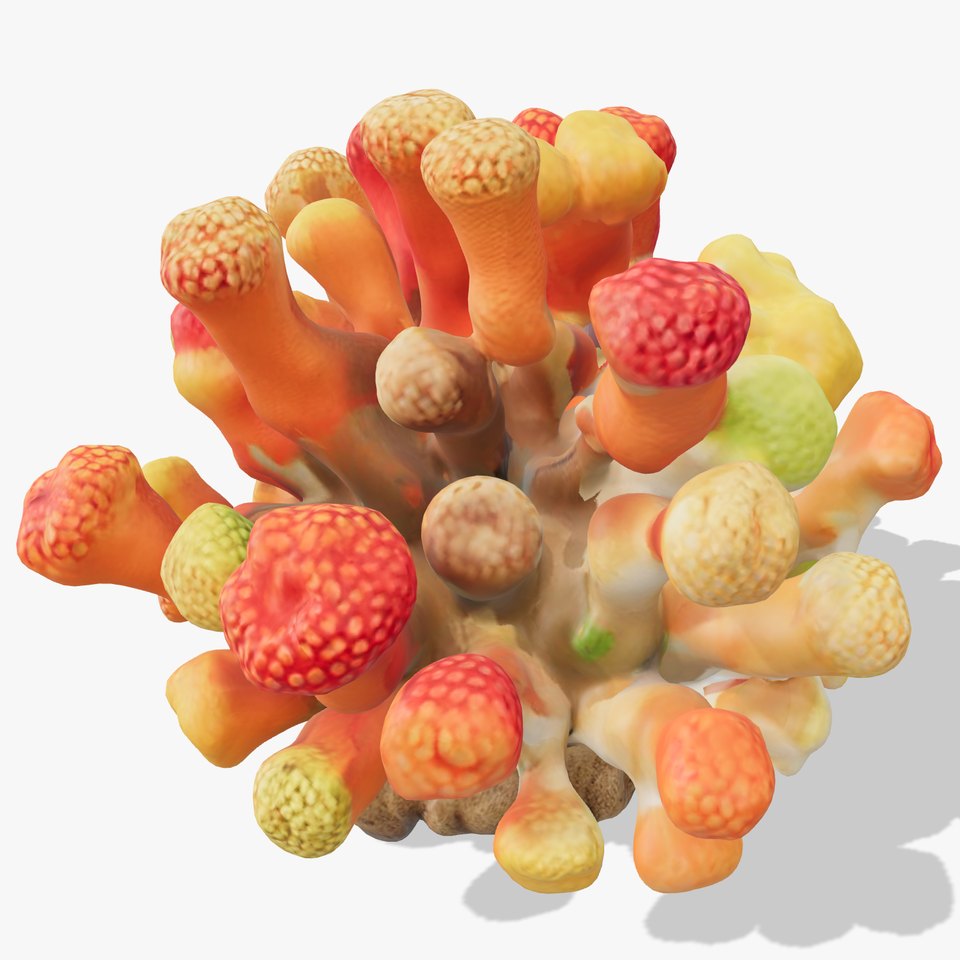 Vibrant Coral Reef Model Pack