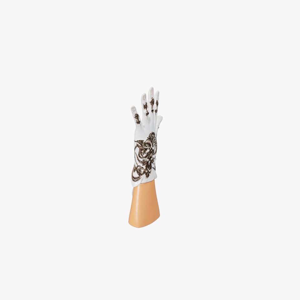 Elegant Embroidered Glove Model Pack