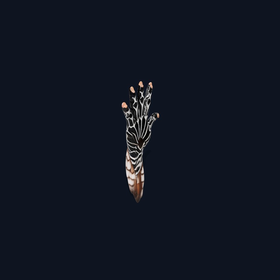 HandFrog Hybrid Model Pack with Zebra Pattern