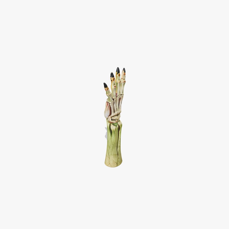 Fantasy Creature Hand model pack with claws and textures