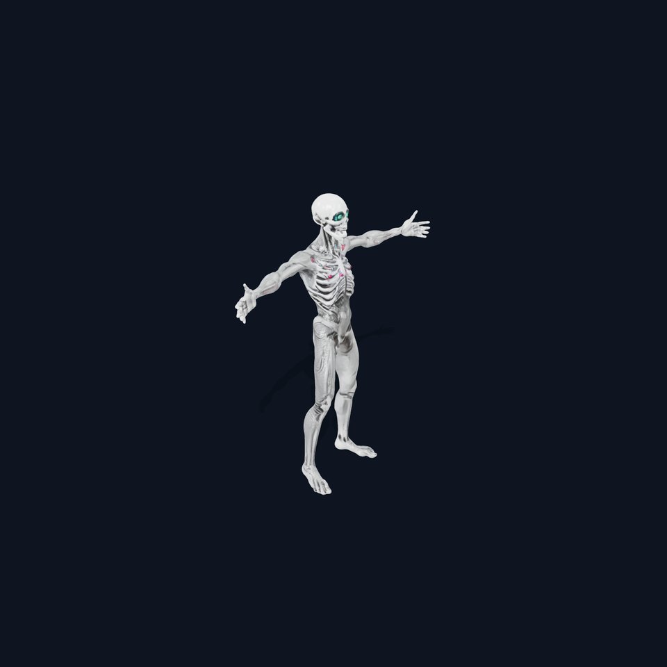 Alien Skeleton Model Pack with Luminous Eyes