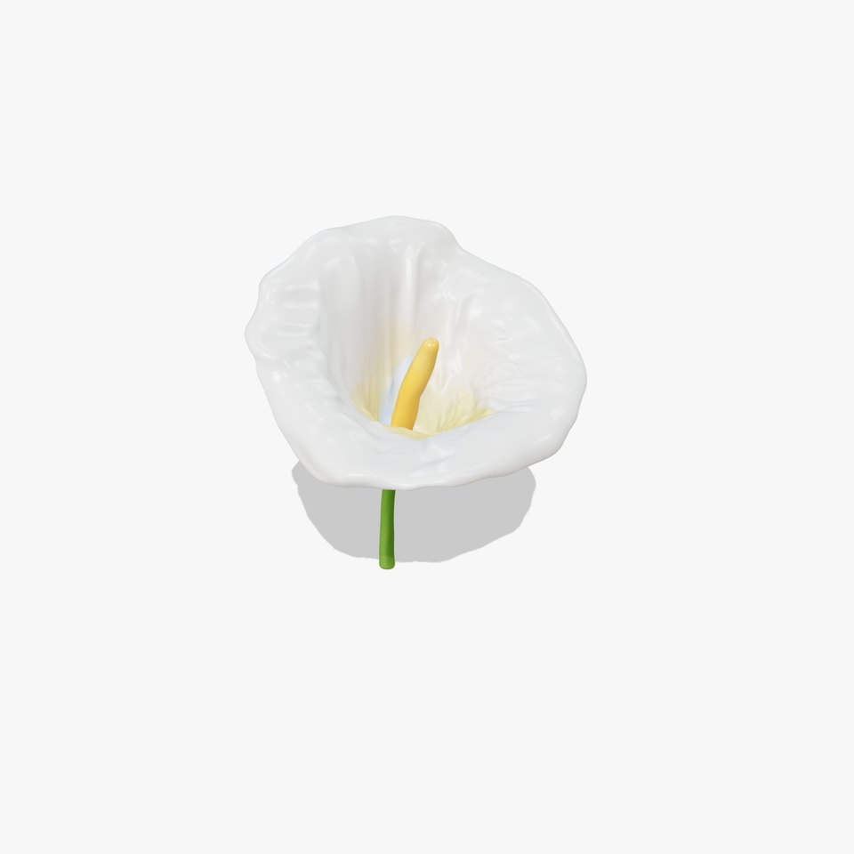 Elegant Calla Lily model pack