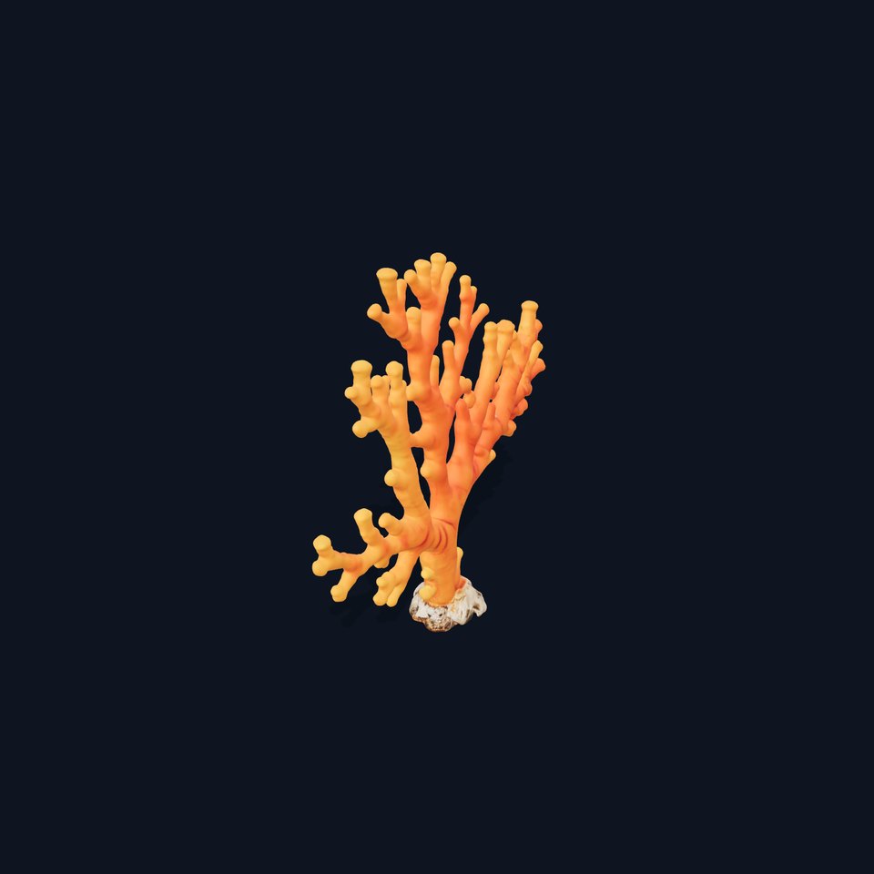 Vibrant Coral Reef model pack