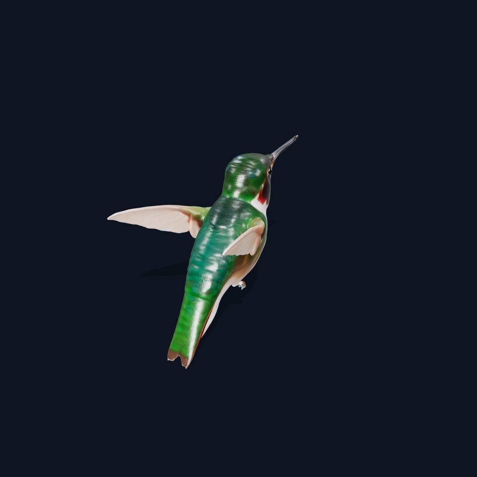Emerald Hummingbird model pack