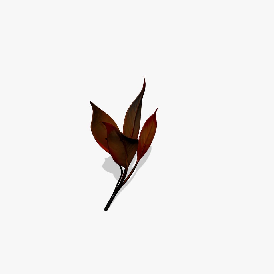 Vibrant Gradient Leaf model pack