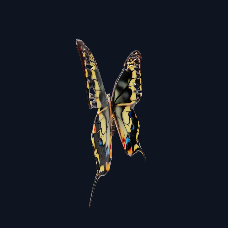 Vibrant Butterfly Wings model pack