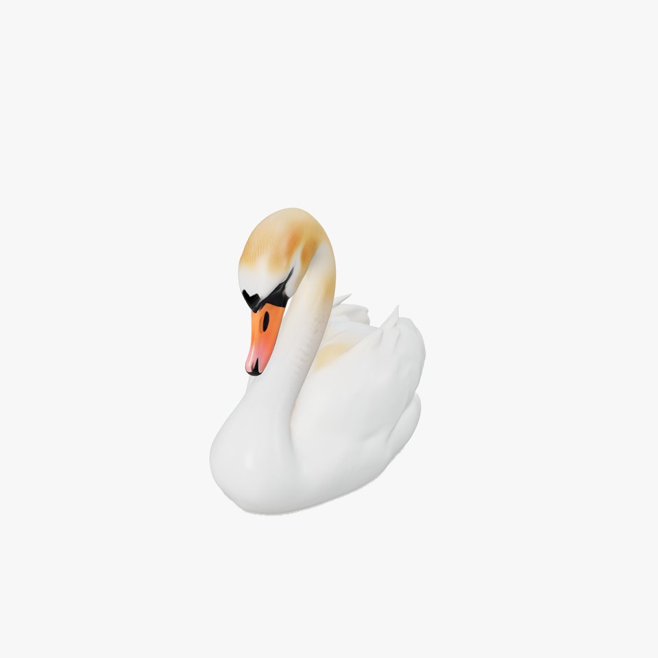 Elegant White Swan model pack