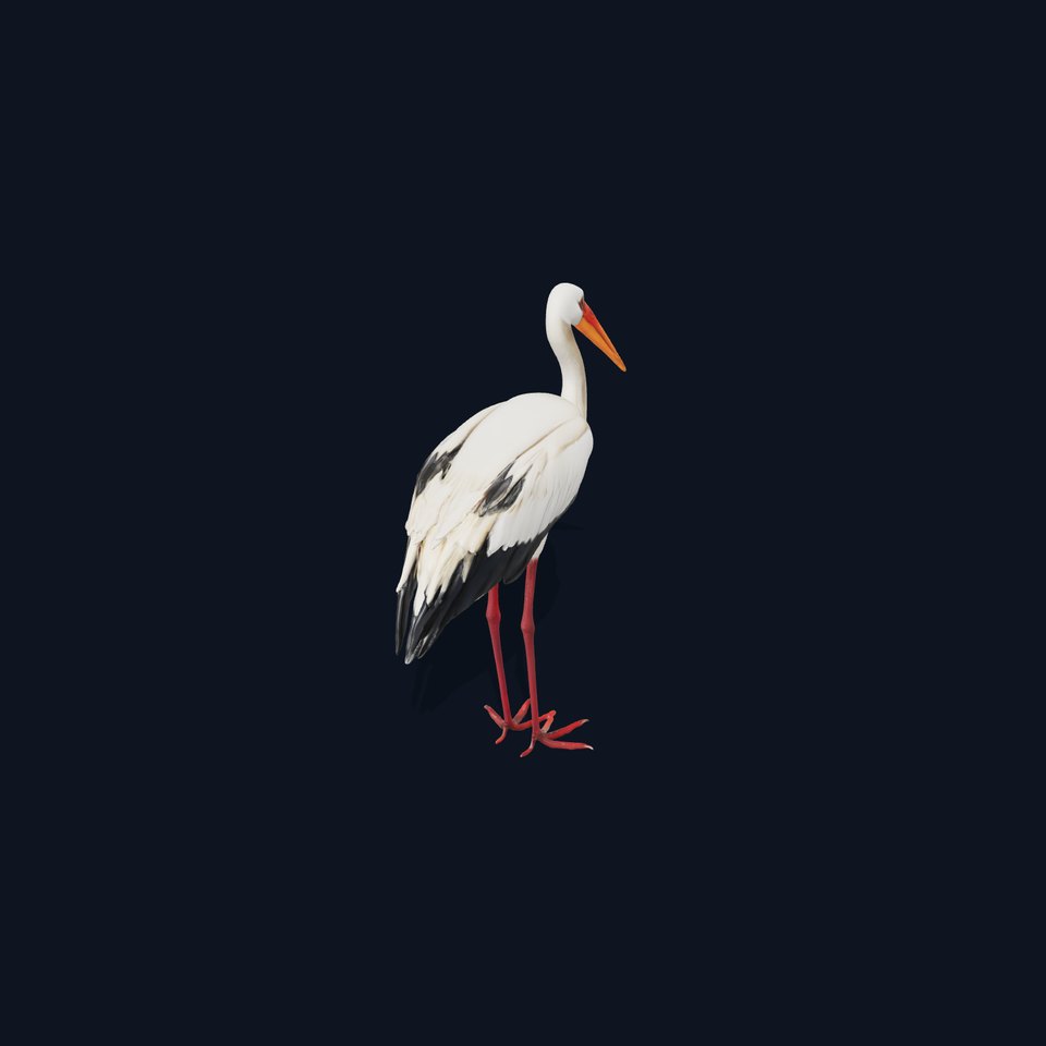 Elegant White Stork model pack