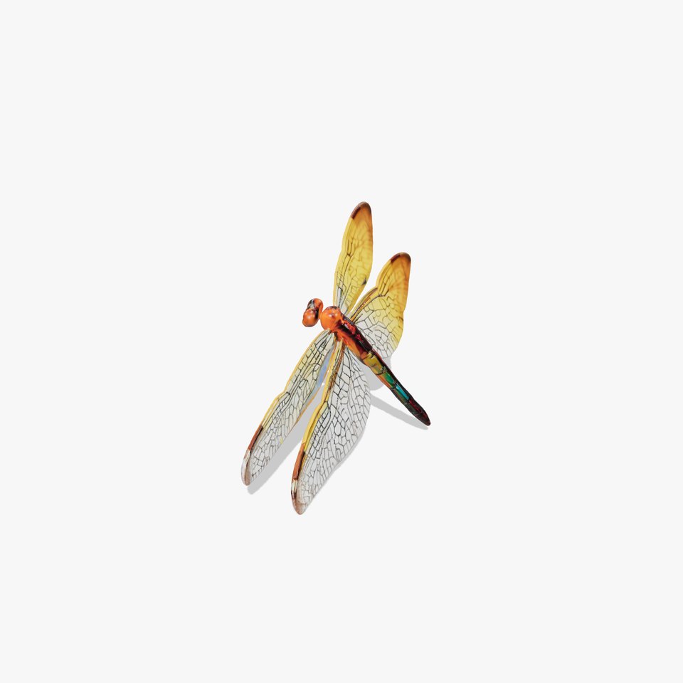 Vibrant Dragonfly model pack