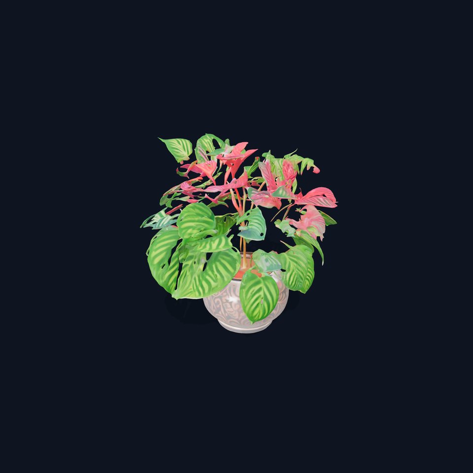 Vibrant Decorative Plant model pack